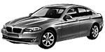 BMW F10 B19BA Fault Code